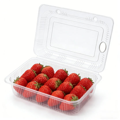 Transparent Plastic Packaging Boxes 50PCS
