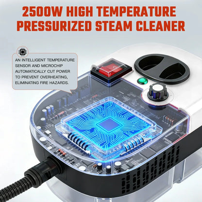 2500W High Temperature Steam Cleaner 110V