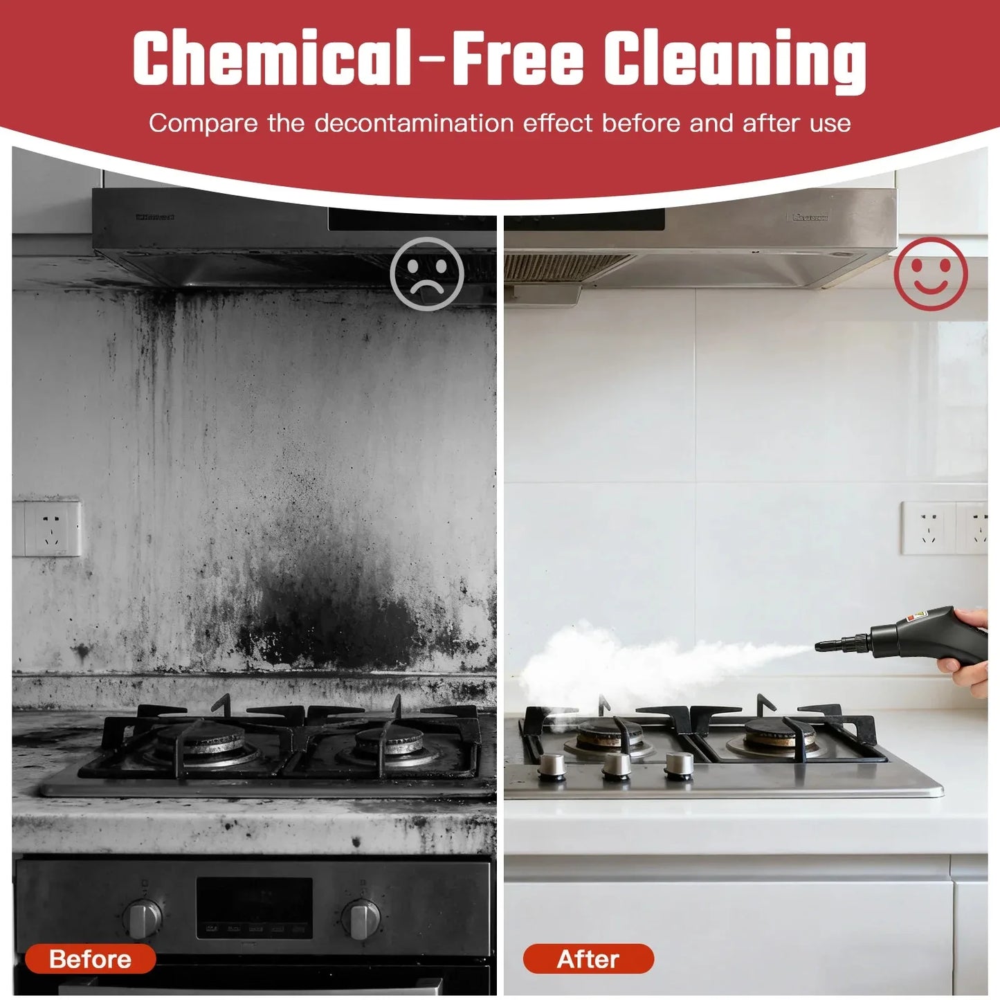 2500W High Temperature Steam Cleaner 110V