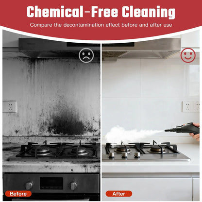2500W High Temperature Steam Cleaner 110V
